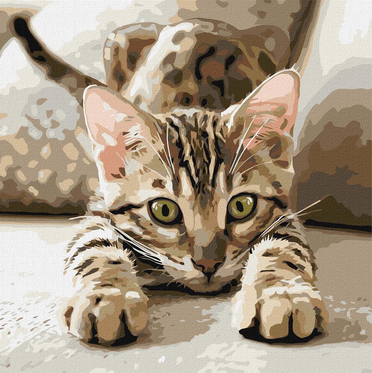 Картина по номерам Ideyka Игривый котенок 40х40 см (2904697880)