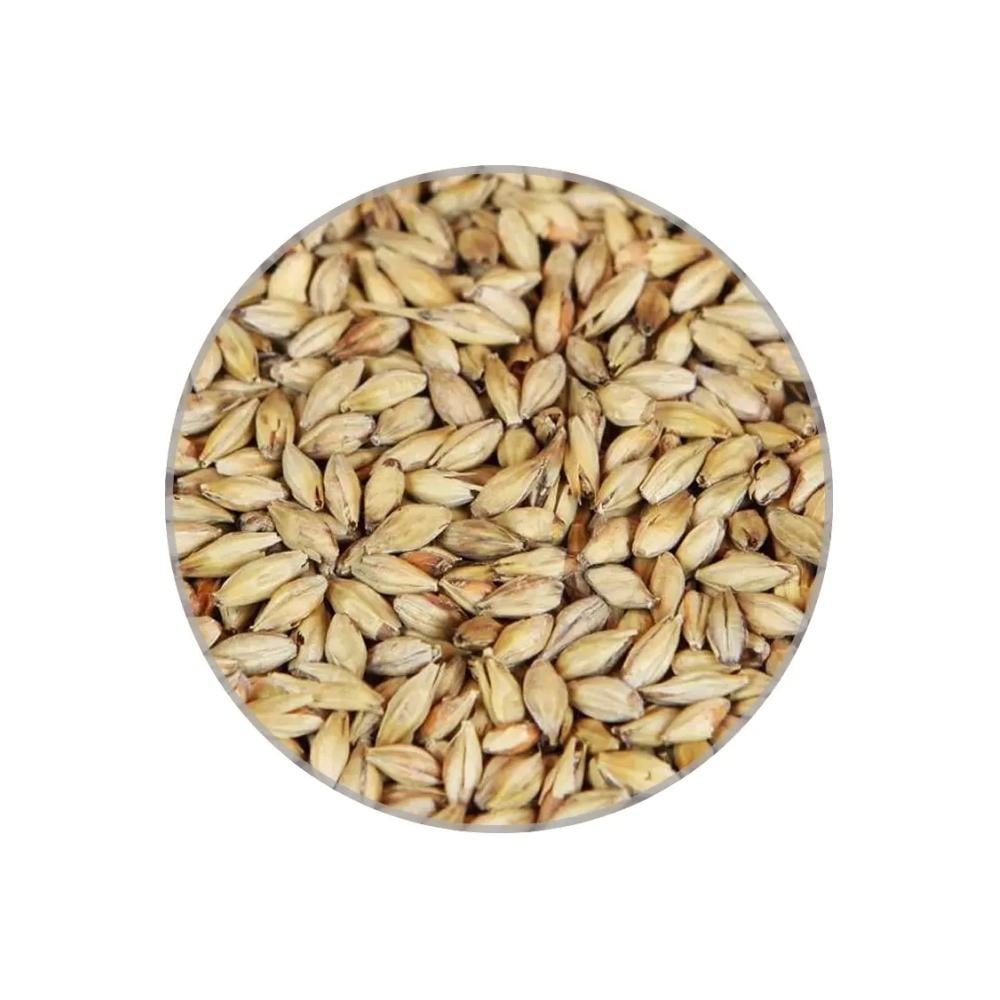 Солод Castle Malting Шато Мелано Лайт Melanoidin 1 кг Солод Castle Malting Шато Мелано Лайт Melanoidin 1 кг