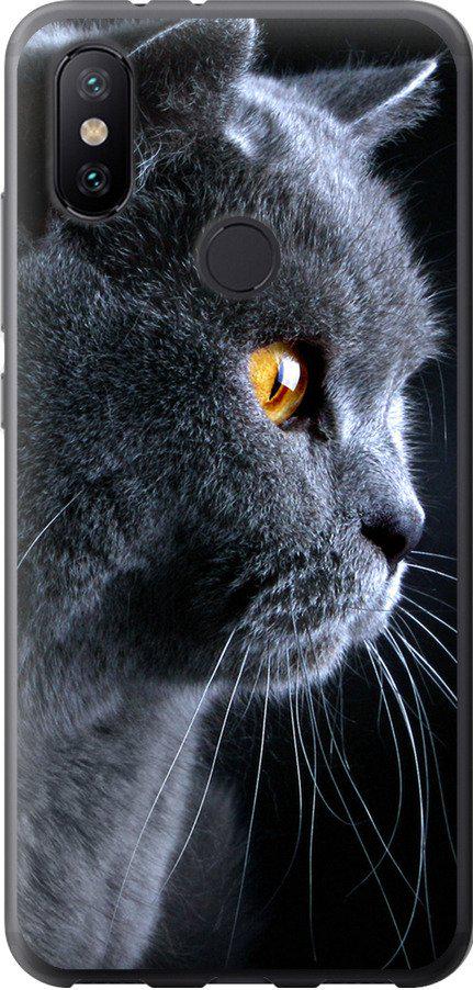 Чехол на Xiaomi Mi A2 Красивый кот (3038t-1481-42517)