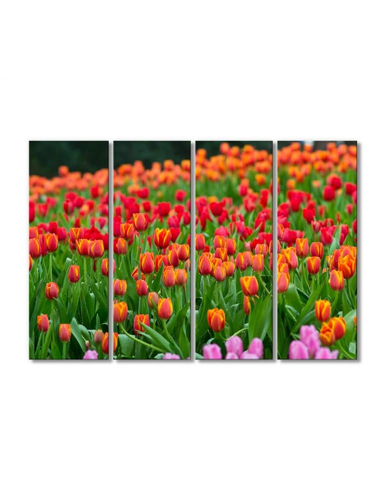 Картина модульная Поле тюльпанов 4 модуля 90x135 см
