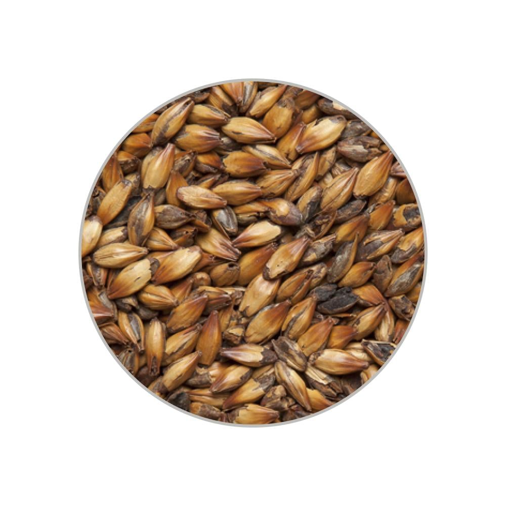 Солод Castle Malting Шато Спешл Би SPECIAL B 1 кг Солод Castle Malting Шато Спешл Би SPECIAL B 1 кг