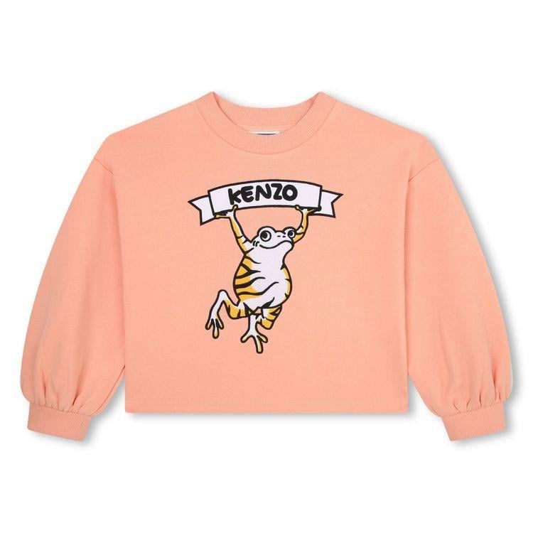Світшот KENZO 15700 frog 5 років 110 см (32541133)