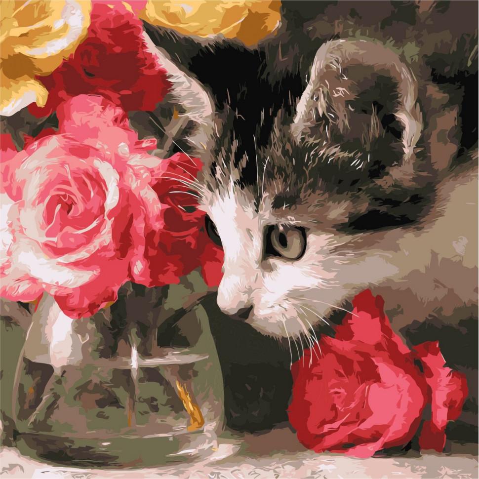 Картина по номерам Ideyka Пушистый исследователь 40x40 см (KHO6804)