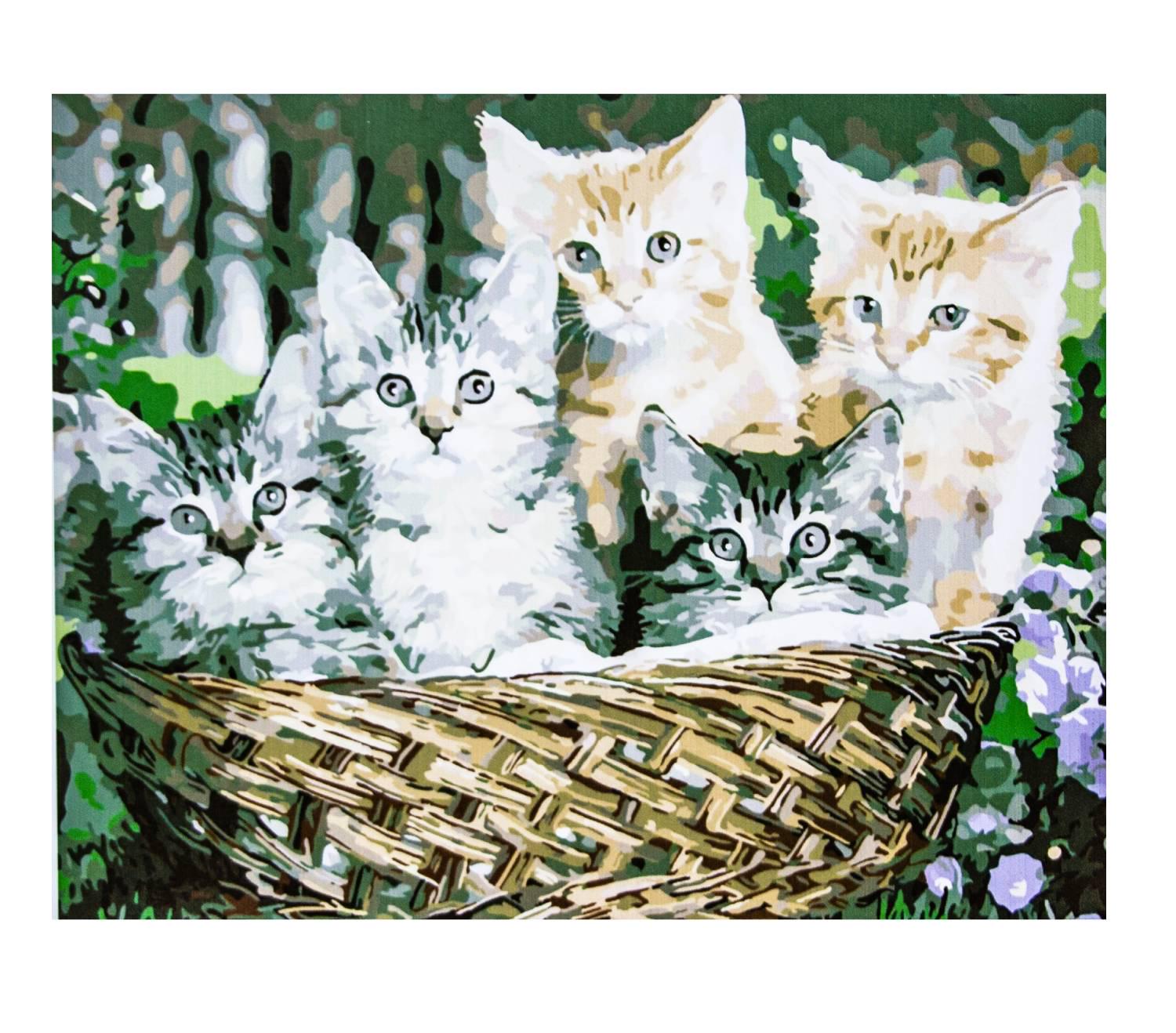 Картина по номерам Котики с красками и кистями 50х65 см Multicolor (1990936833)
