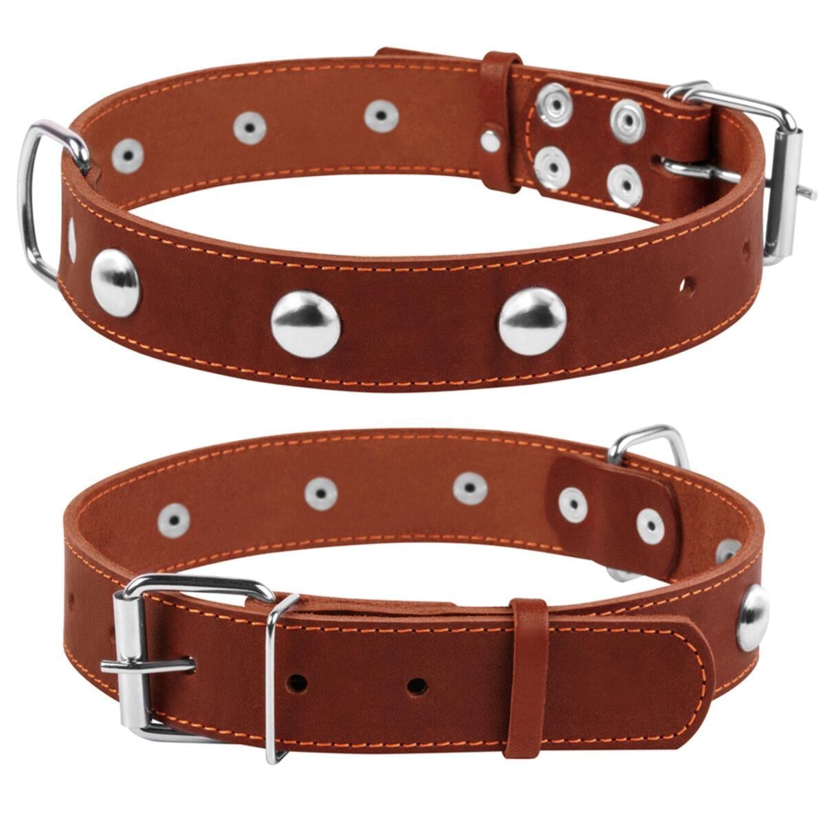 Ошейник CoLLaR одинарный с украшениями ширина 35 мм Д 48-63 см Коричневый