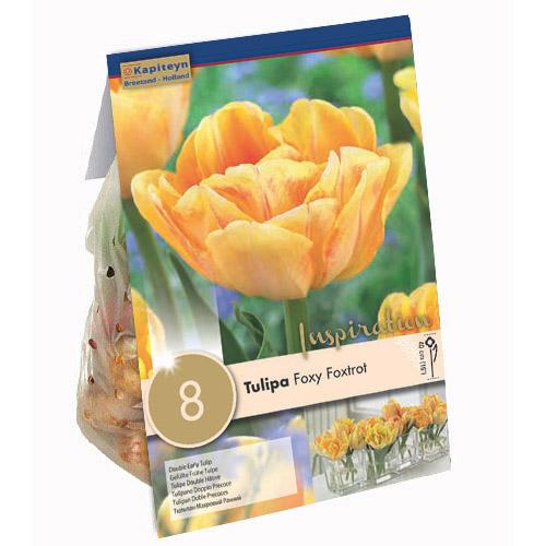 Тюльпан Florium Double Foxy Foxtr (15344)