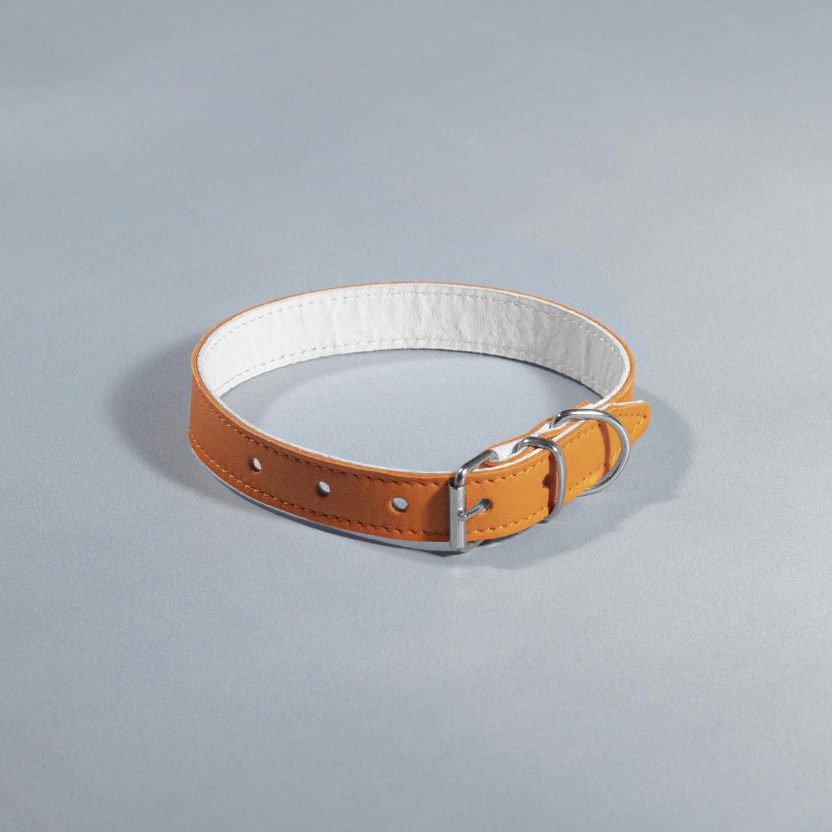 Нашийник для собак шкіряний подвійний Барви 20 мм х 33-41 см Помаранчевий (2296447522) - фото 1 Нашийник для собак шкіряний подвійний Барви 20 мм х 33-41 см Помаранчевий (2296447522) - фото 1