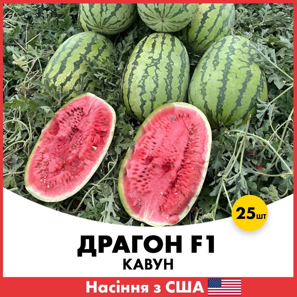 Семена арбуза Libra Seeds Драгон F1 25 шт. (R51107_25)