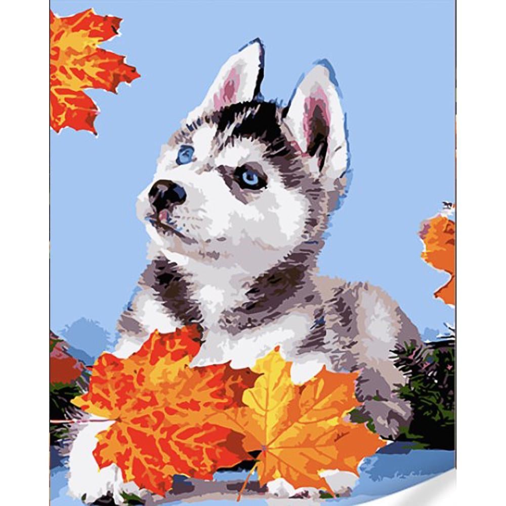 Картина по номерам Strateg Хаски в листьях на цветном фоне 40х50 (GS1628)