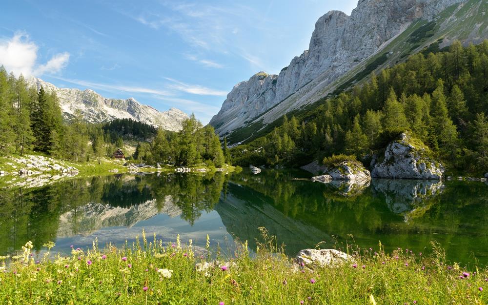 Картина Природа  PR049 35х55 см