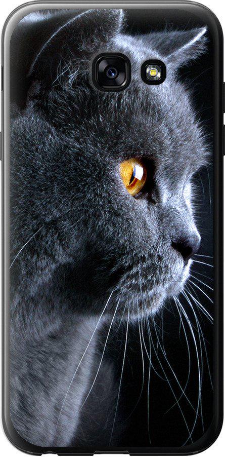 Чехол на Samsung Galaxy A5 (2017) Красивый кот (3038t-444-42517)