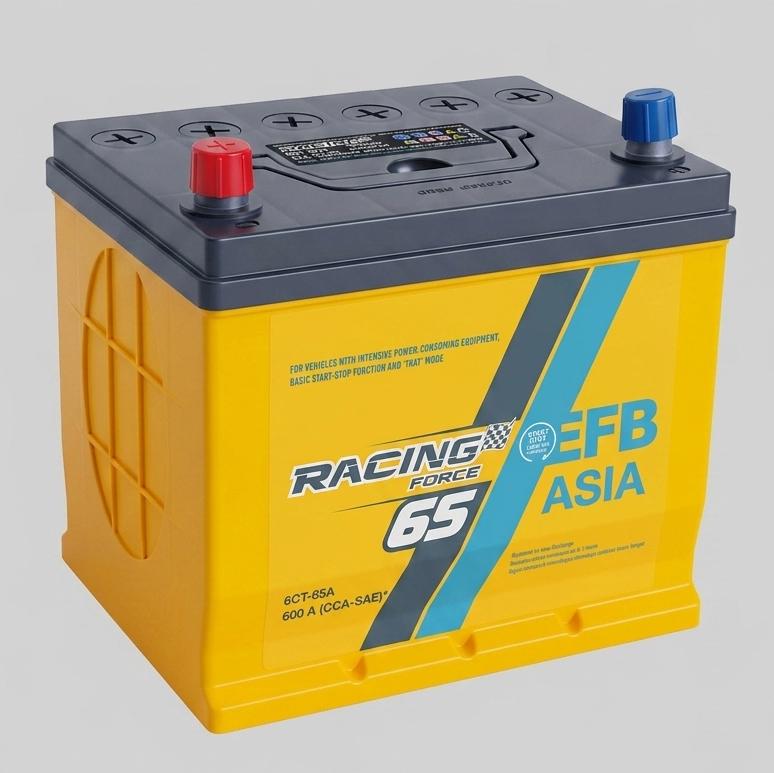 Аккумулятор автомобильный 6CT-65 Forse Asia EFB CCA600 65Ah-12V + слева 230х175х225 мм
