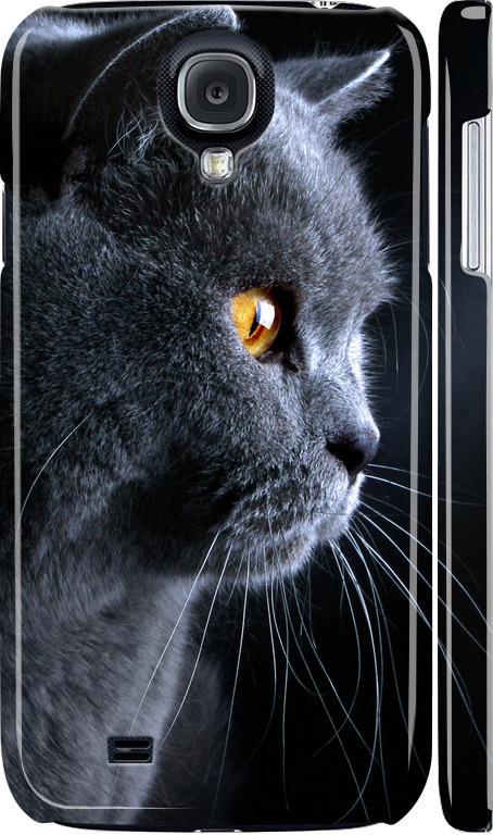 Чехол на Samsung Galaxy S4 i9500 Красивый кот (3038c-13-42517)