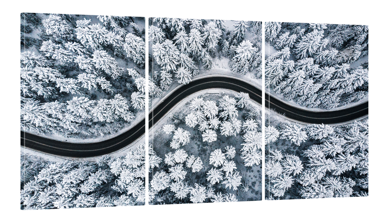 Картина модульная на холсте DK Зимняя дорога в лесу 100x180 см (MK30172 X)