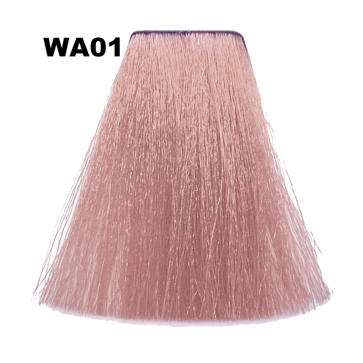 Фарба для волосся Anthocyanin Second Edition WA01 Sand beige (1029007945) - фото 3 Фарба для волосся Anthocyanin Second Edition WA01 Sand beige (1029007945) - фото 3