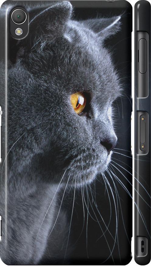 Чехол на Sony Xperia Z3 D6603 Красивый кот (3038m-58-42517)