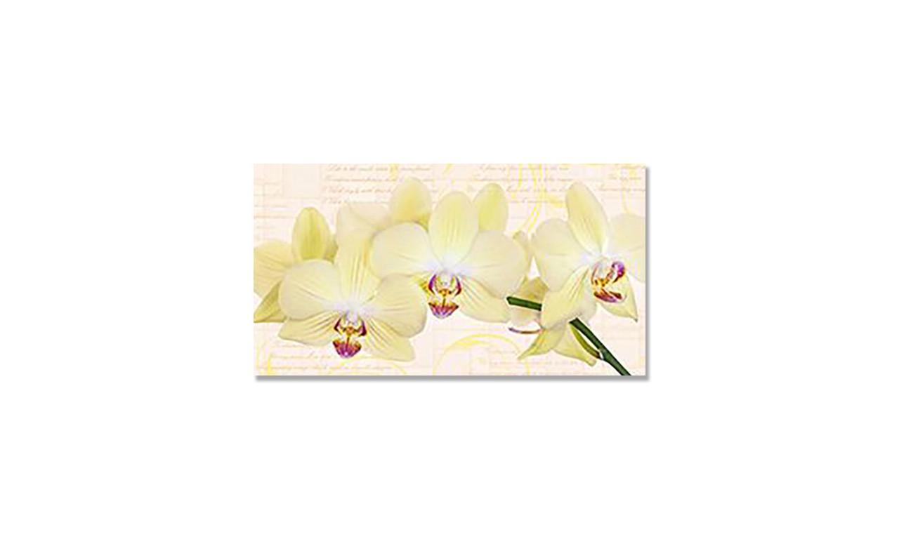 Наклейка виниловая на стол Zatarga Желтые Орхидеи 650х1200 мм (1283915616) Наклейка виниловая на стол Zatarga Желтые Орхидеи 650х1200 мм (1283915616)