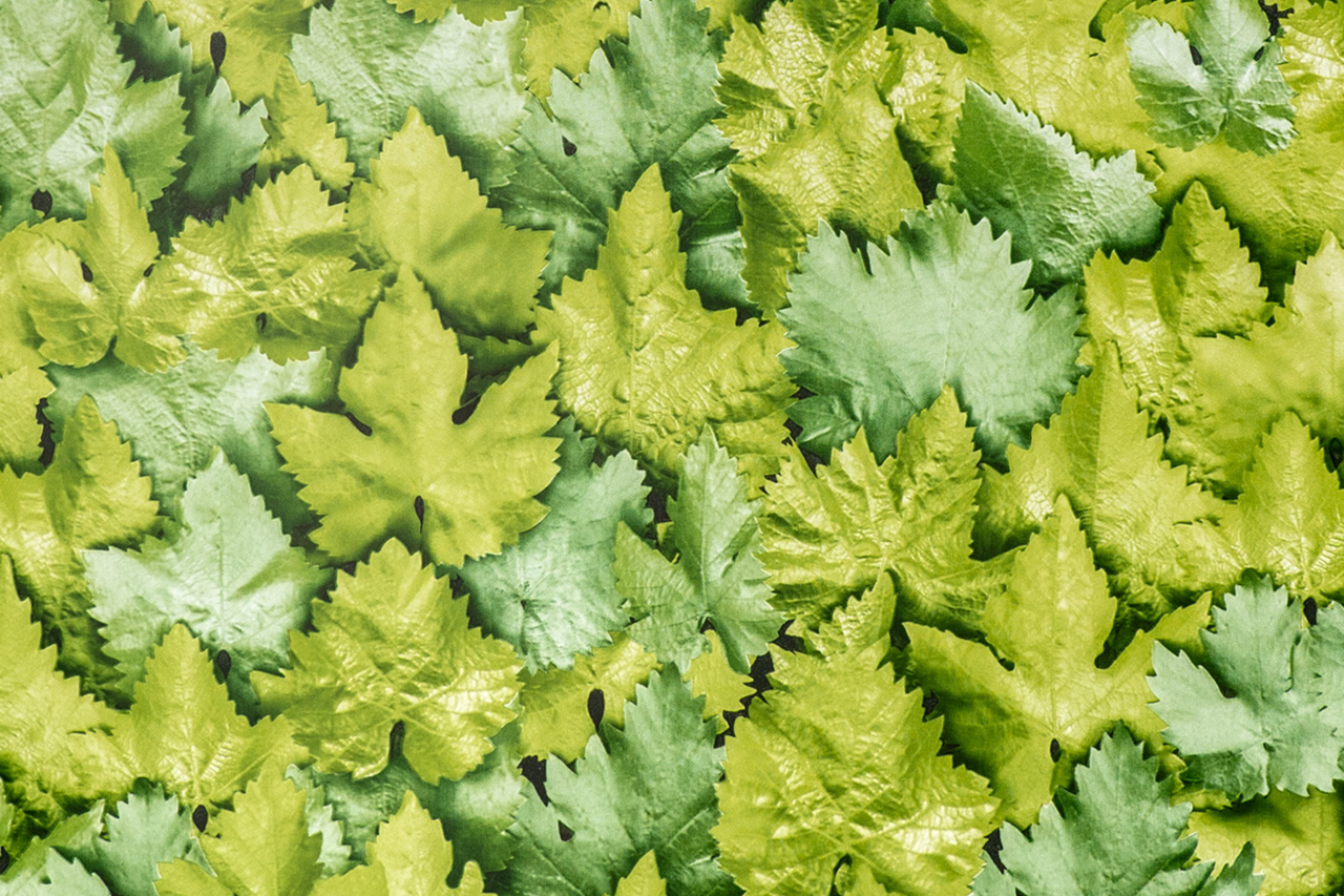 Самоклеящаяся пленка универсальная Gekkofix 0,45х15 м 10195 Листья