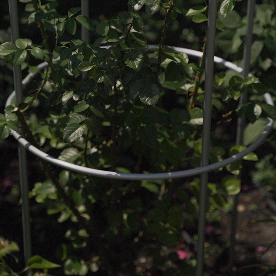 Опора для рослин кільцева на три кільця 1700х800х800 мм (КО-D16/D13-1700*800/600/600) - фото 9 Опора для рослин кільцева на три кільця 1700х800х800 мм (КО-D16/D13-1700*800/600/600) - фото 9