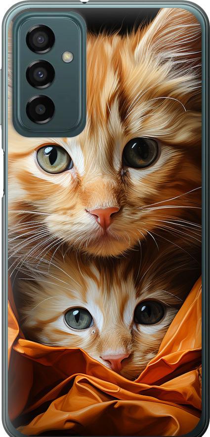 Чехол на Samsung Galaxy M13 M135 Котики 2 (5664u-2765-42517)