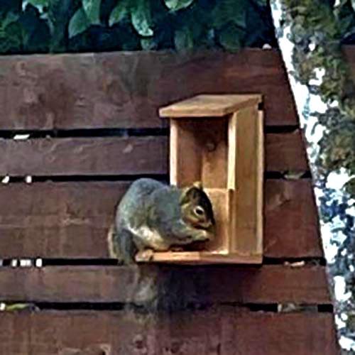 Годівниця для білок з дерева Фундук Сієна (ДДБ-000105) - фото 2