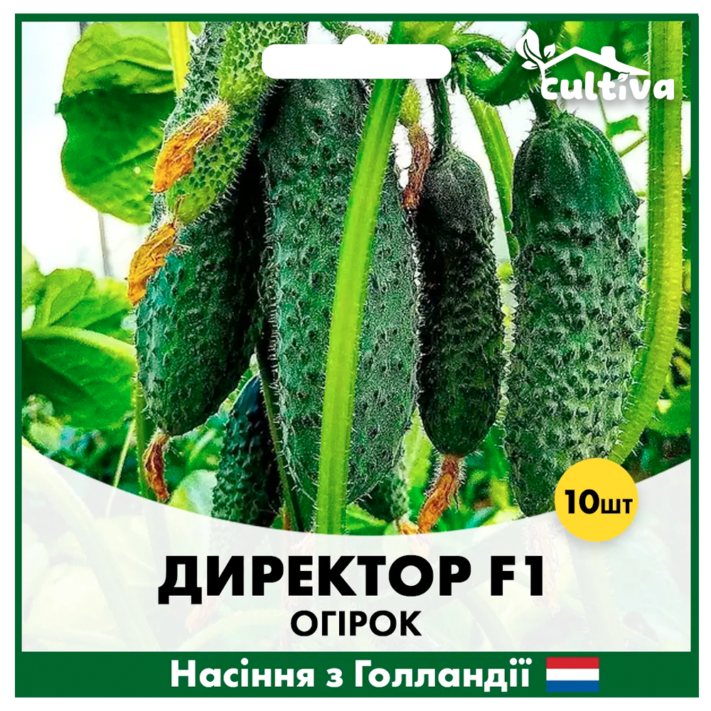 Семена огурца Nunhems Директор F1 10 шт. (00167)