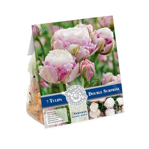 Тюльпан Florium Double Surprise брендовые луковицы kapiteyn (15239)
