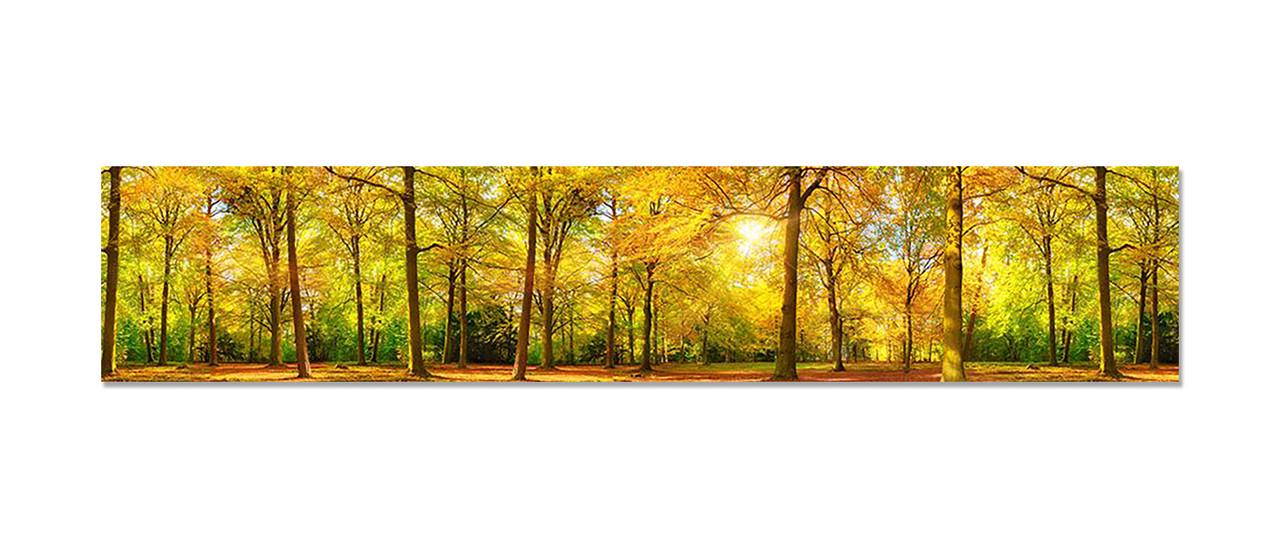 Наклейка виниловая на кухню Zatarga Осенний лес 600х3000 мм (1283915514) Наклейка виниловая на кухню Zatarga Осенний лес 600х3000 мм (1283915514)