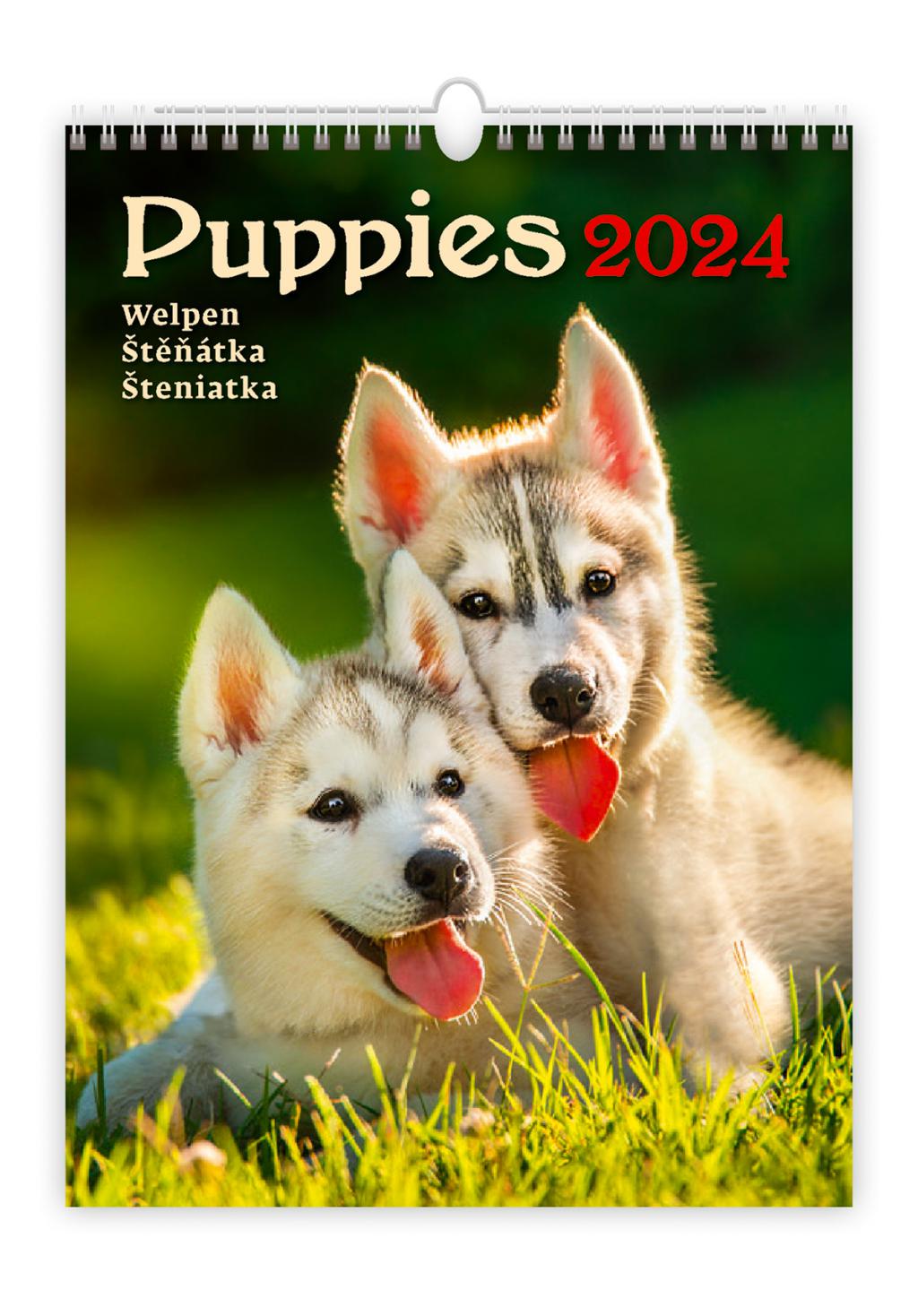 Календарь HELMA 2024 Puppies 24x33 см (N181-24) Календарь HELMA 2024 Puppies 24x33 см (N181-24)