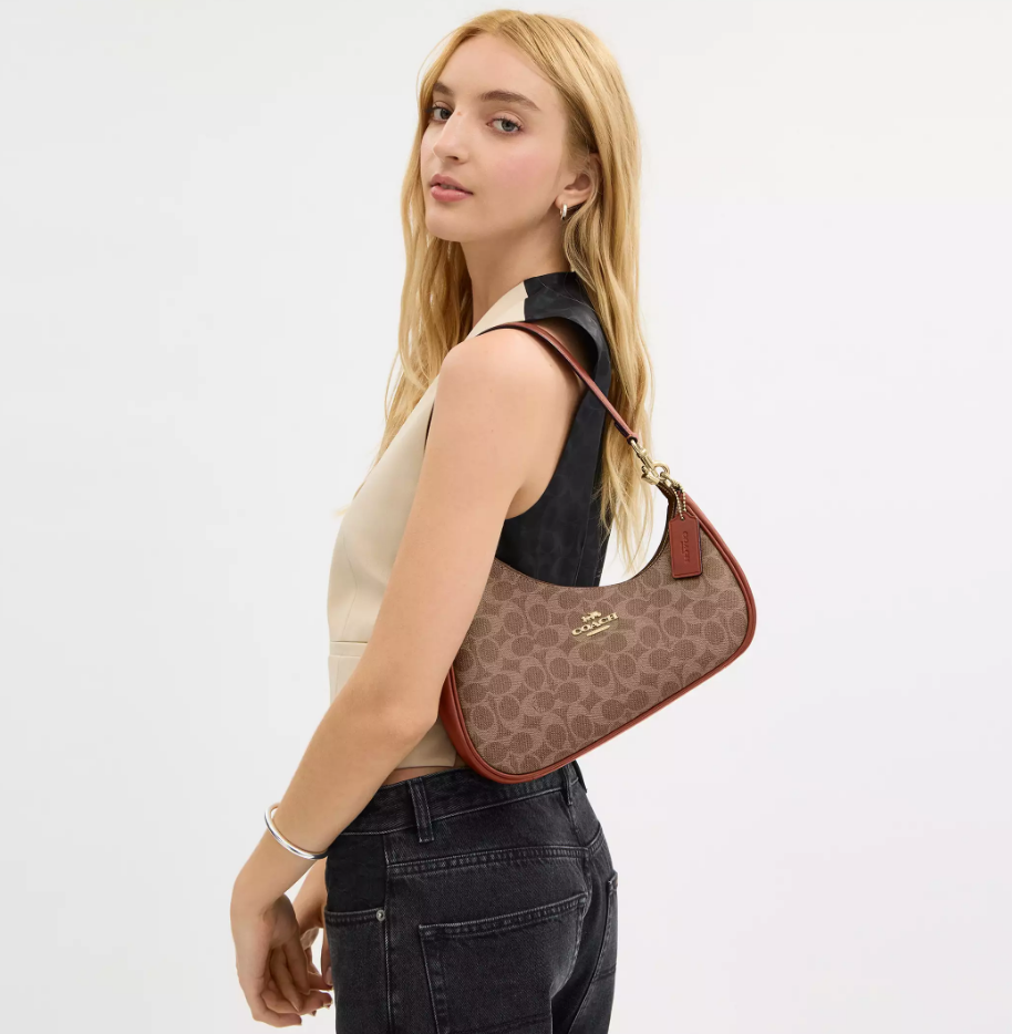 ᐉ Женская сумка Coach Twisted Teri Shoulder Bag In Signature