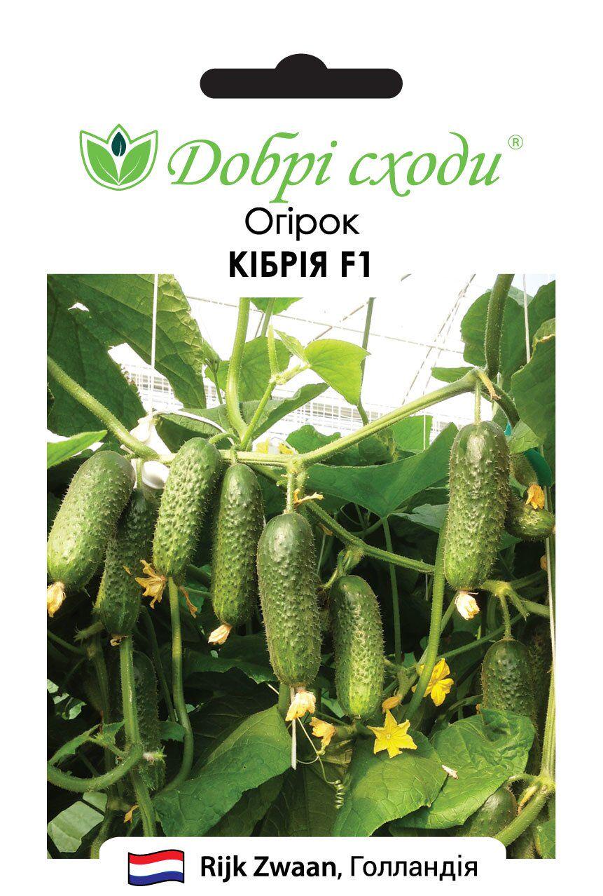 Насіння огірків Кібрія F1 (3344) Насіння огірків Кібрія F1 (3344)