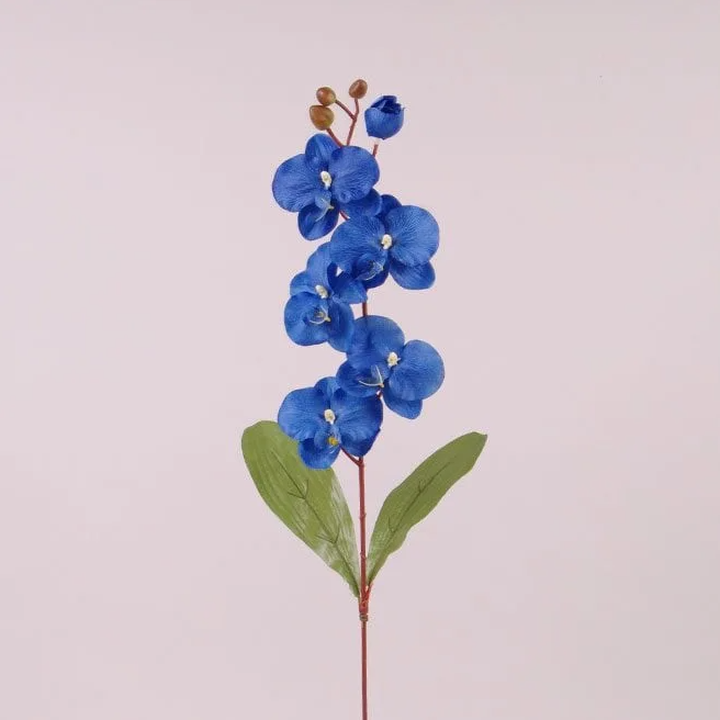 Квітка Фаленопсис Flora Синій (73018)