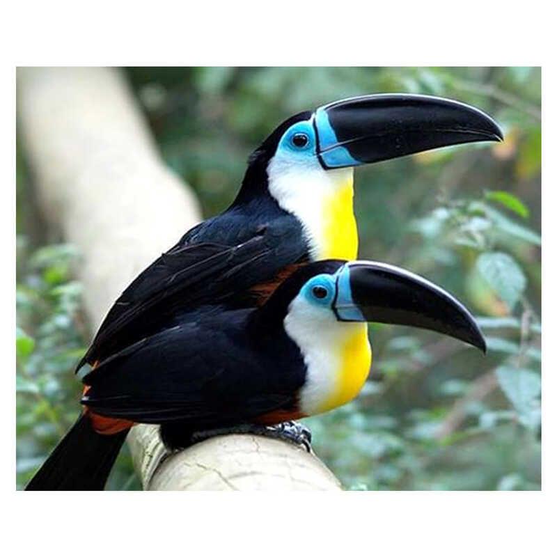 Алмазная мозаика GB 77819 30 TK Group Птицы 40х30см (106552)