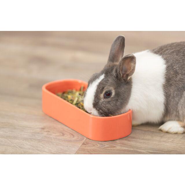 Миска керамічна для гризунів Trixie 600 мл 22x10 см (TX-60744) - фото 4 Миска керамічна для гризунів Trixie 600 мл 22x10 см (TX-60744) - фото 4