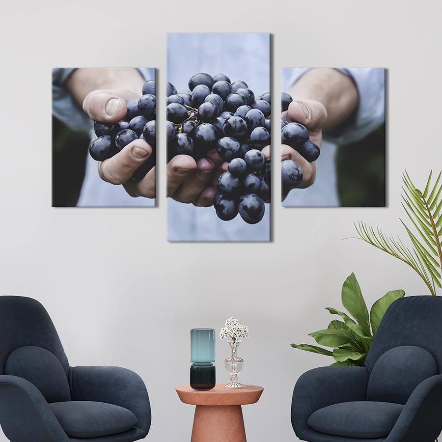 Картина для интерьера Гроздь винограда 96x60 см (312-32) Картина для интерьера Гроздь винограда 96x60 см (312-32)