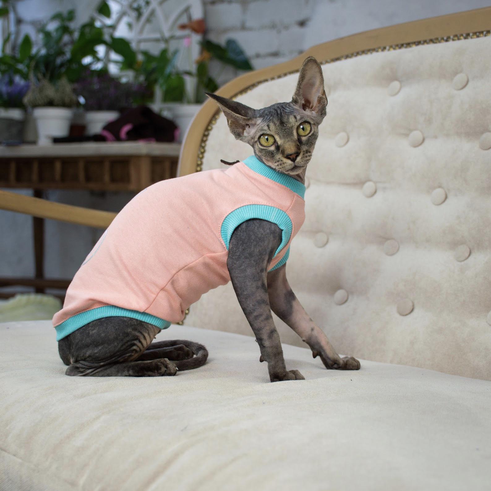 ᐉ Майка для кошек Style Pets BS-cats L Персиковый (386L) • Купить в ...