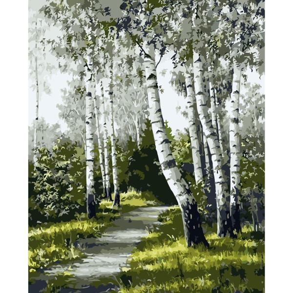 Картина по номерам Strateg Пейзаж Тропа среди берез 40х50 см в термопакете (VA-0880-mt)