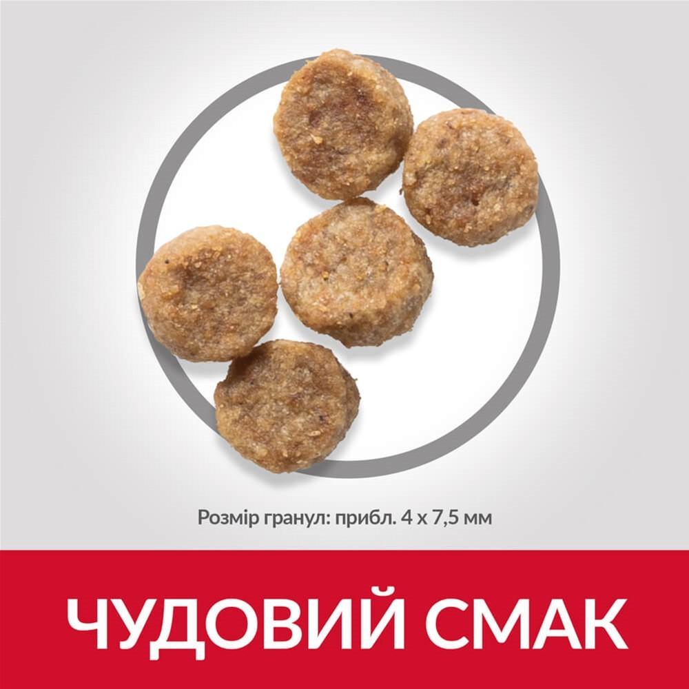 Сухой корм для зрелых собак маленьких пород Hill's SP Mature  Small&Mini 7+ с курицей 300 г (052742282503) - фото 3