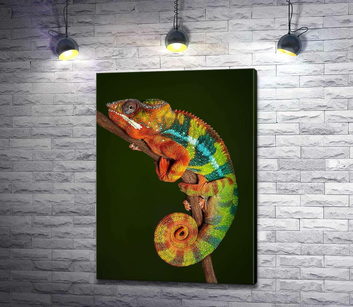 Картина ArtPoster Яркий хамелеон в переливах оранжево-зеленых цветов 94x130 см Модуль №1 (001059) Картина ArtPoster Яркий хамелеон в переливах оранжево-зеленых цветов 94x130 см Модуль №1 (001059)
