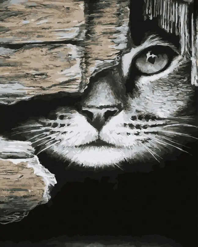 Картина по номерам Brushme Подсмотрщик 40x50 см (BRM45452)