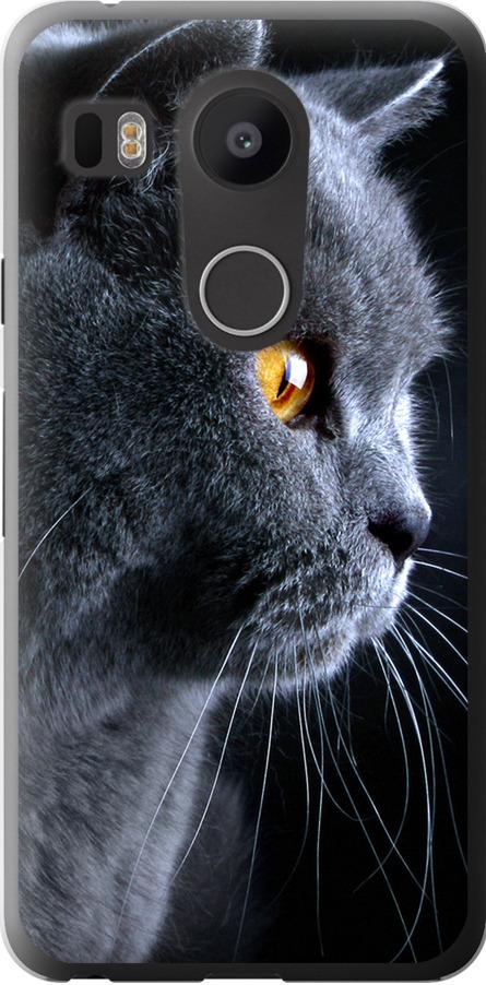 Чехол на LG Nexus 5X H791 Красивый кот (3038u-150-42517)