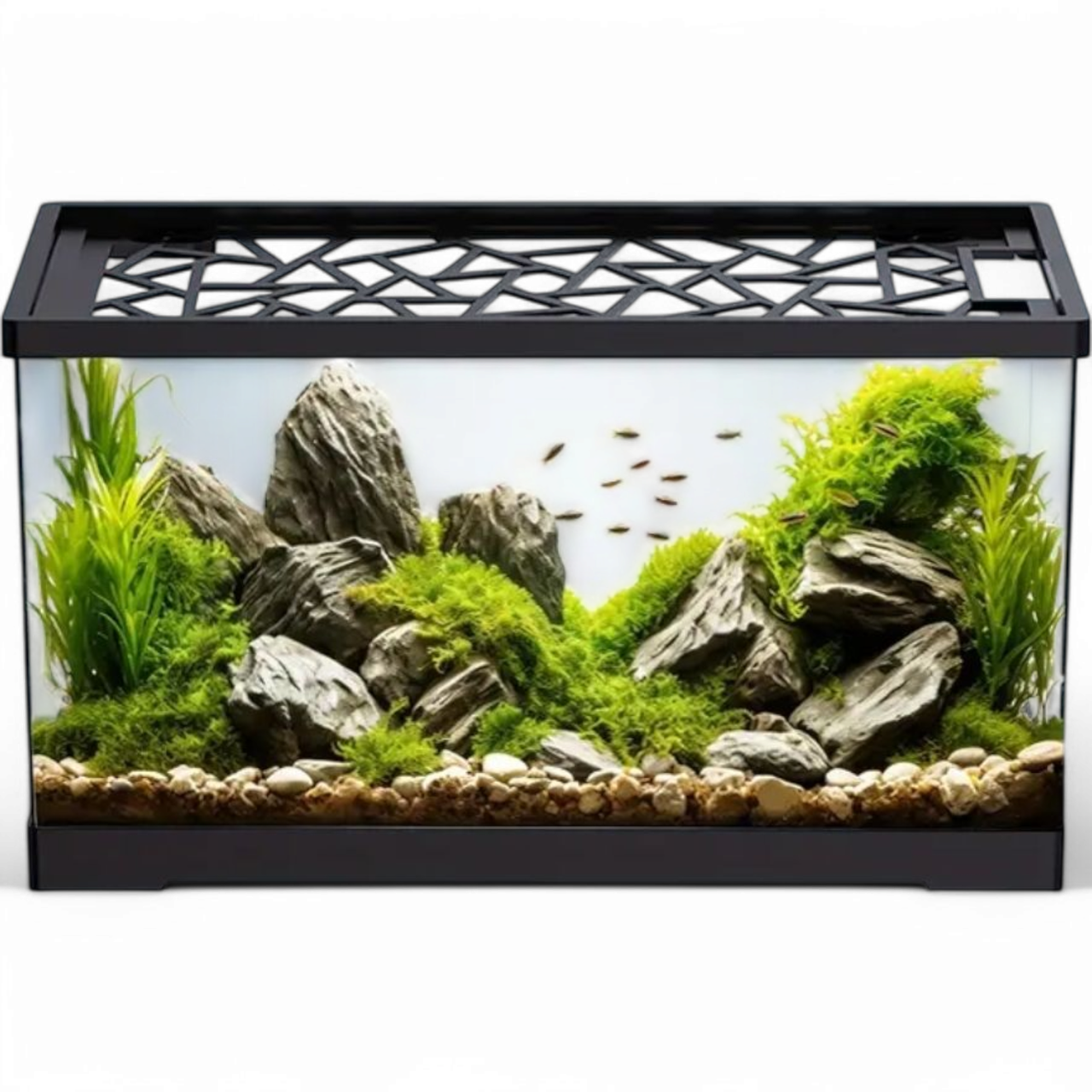 Аквариум для рыбы с пластиковой защитной крышкой со скачками/камнями/растениями Черный (2530542551) Аквариум для рыбы с пластиковой защитной крышкой со скачками/камнями/растениями Черный (2530542551)