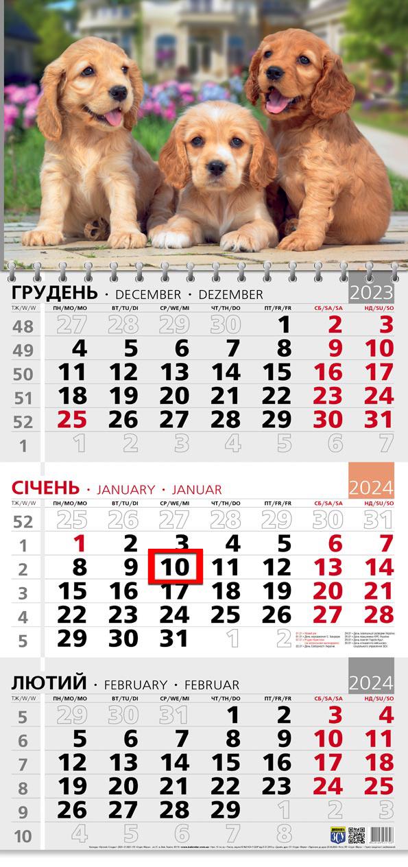 Календар на 2024 рік Офісний 3 Кокер Спаніель