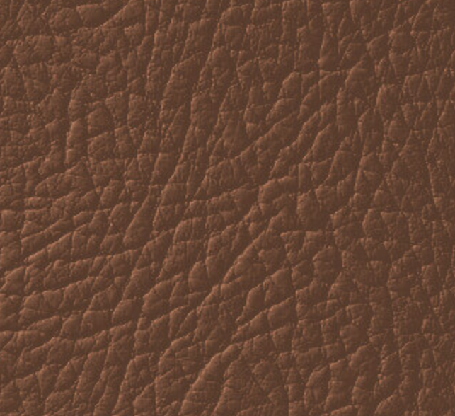 Эмаль для окрашивания кожи Leather Expert Colourant 100 г 309 Chocolate Brown