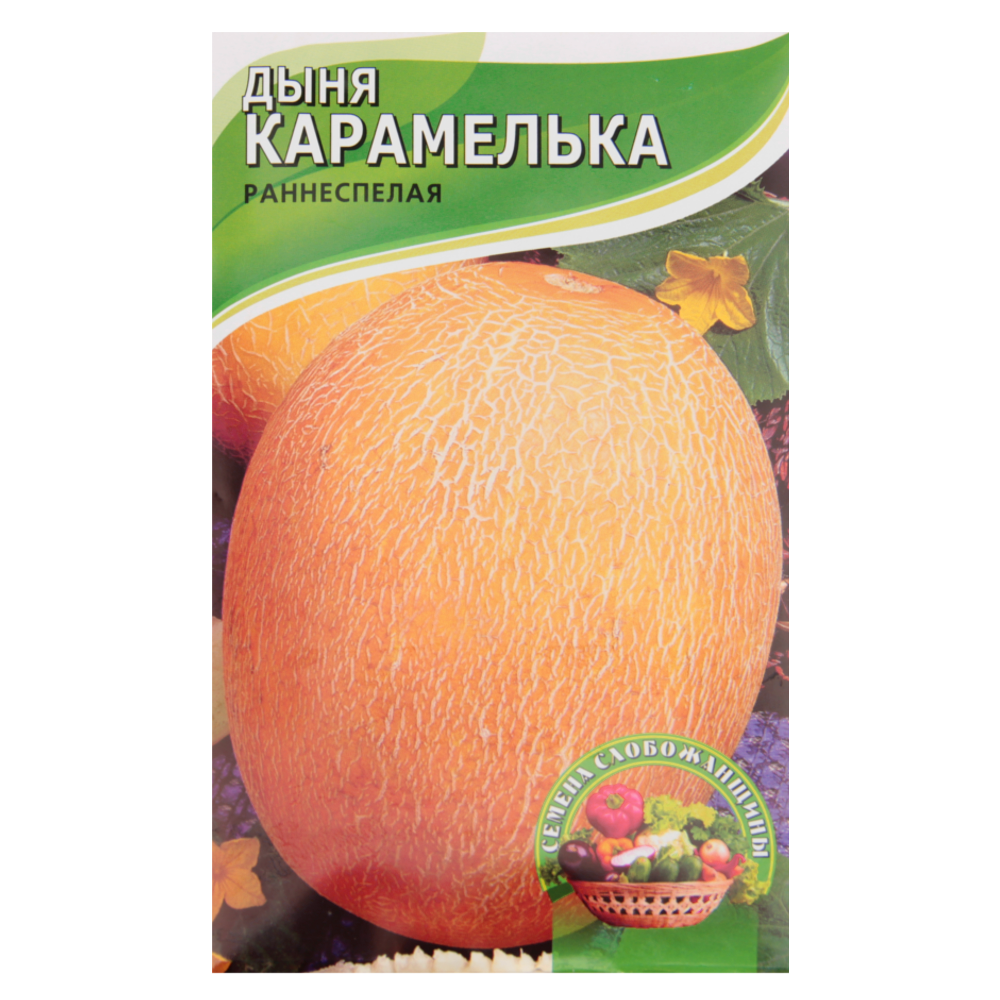 Семена дыни Карамелька раннеспелая 5 г (24276)