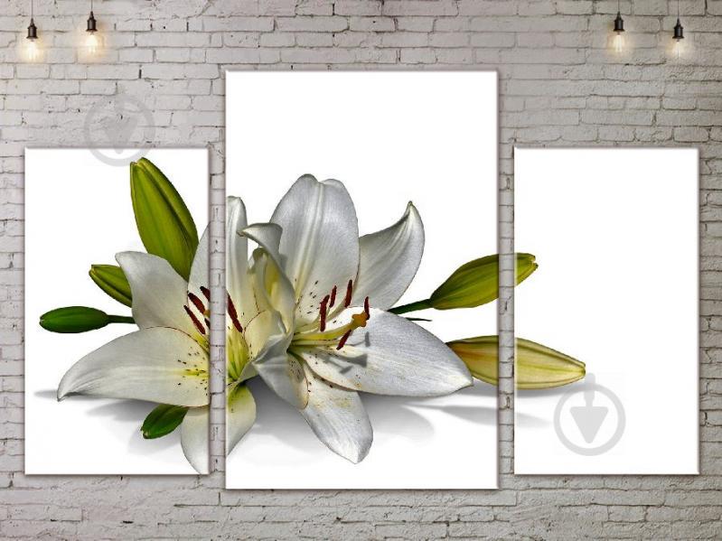 Модульная картина ArtStar цветы ADFL0067 размер 45 х 70 см