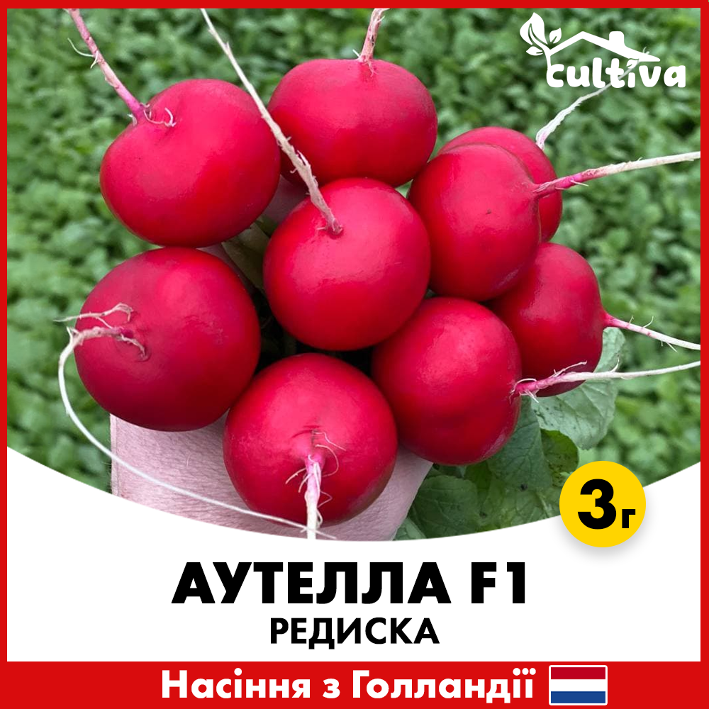 Семена редиса Hazera Аутелла F1 3 г (aut3g)
