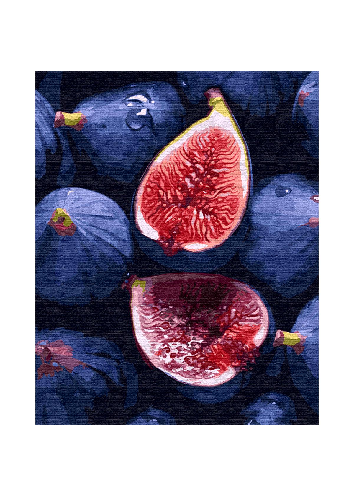 Картина по номерам Santi Инжир 40х50 см (954760)