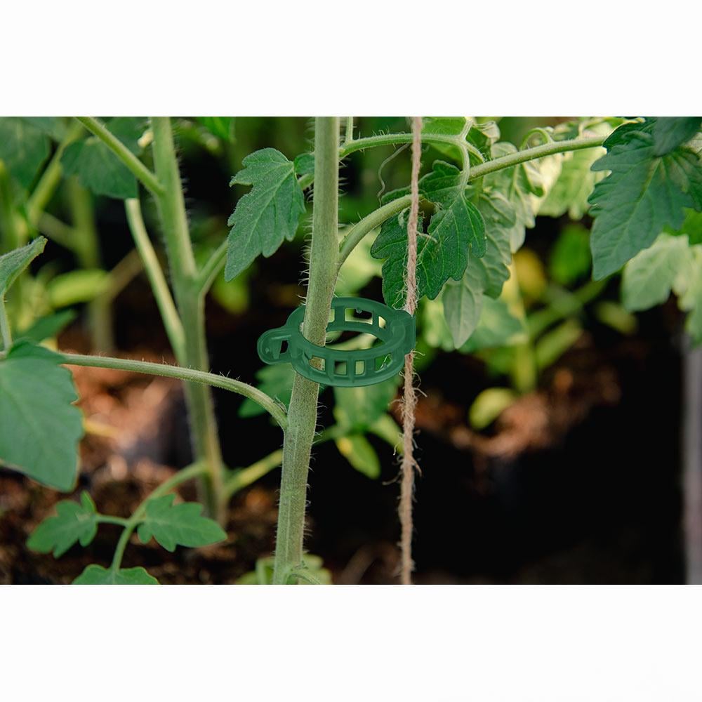 Затискачі для кріплення рослин Bradas 22 мм 100 шт. (TYK022GR/100) - фото 3 Затискачі для кріплення рослин Bradas 22 мм 100 шт. (TYK022GR/100) - фото 3