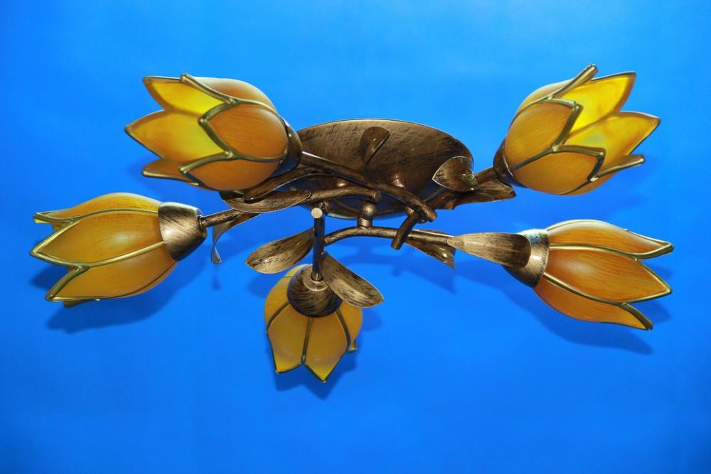 Люстра с плафонами Ray L10010A/5 (IR005898)